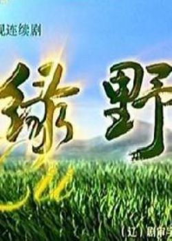 穿越之农门童养媳